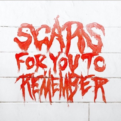 Varials - Scars For You To Remember (Special Edition) (LP) (0888072449428)