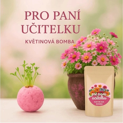 Lipoo Růžová květinová bomba pro paní učitelku – Zboží Dáma