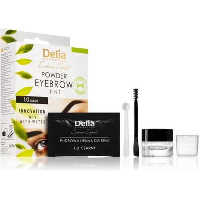 Delia Cosmetics Eyebrow Expert тонираща боя за вежди цвят 1.0 Black 4 гр
