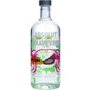 Absolut GRAPEVINE 1 l (holá láhev)