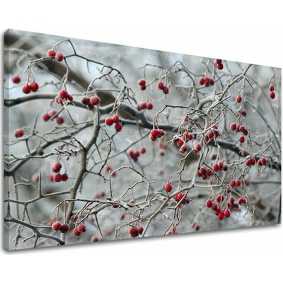 Obraz na stenu STROMY - 100x150 cm