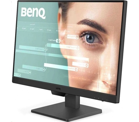 BenQ GW2490