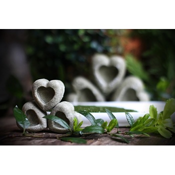 Laurus nobilis přírodní vavřínový šampuk 20 g