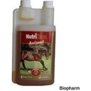 NutriHorse AMINO sol. 1 l