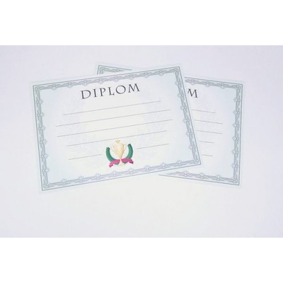 Diplom A4 Vavřín BD142