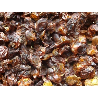 Bylinná lékárna Rakytník řešetlákový plod Hippophae rham.fructus 100 g