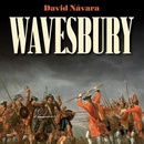 Wavesbury - Návara David