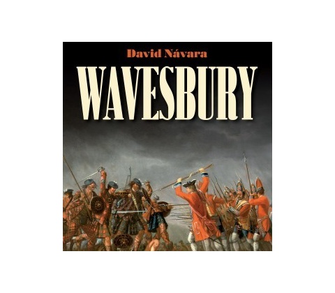Wavesbury - Návara David