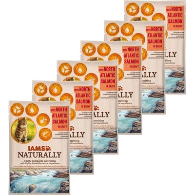 Iams Naturally Salmon 6 x 85 г