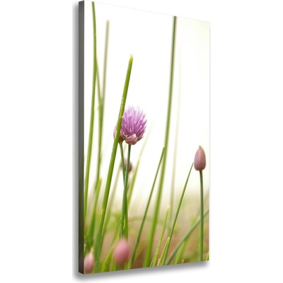 Vertikálny foto obraz na plátne Kvet pažítky 50x100 cm