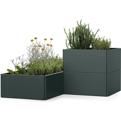 Blumfeldt Versagrow 12