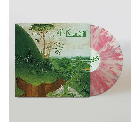 Fruit Bats - LANDFILL LP