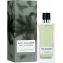 Angel Schlesser Esprit De Gingembre toaletní voda pánská 100 ml