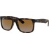 Ray-Ban RB4165 865/T5 55