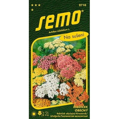 SEMO Řebříček obecný Summer Pastels
