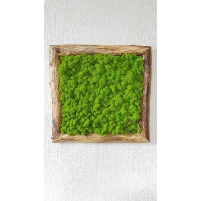Machový obraz v masívnom ráme: 50cm x 50cm