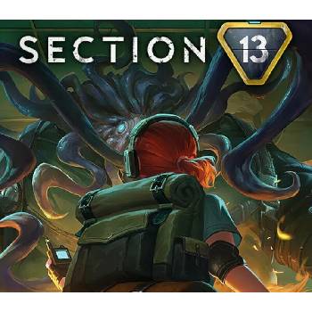 Section 13