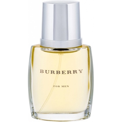 Burberry Burberry toaletná voda pánska 100 ml