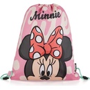 Karton P+P Minnie 304820