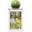 Oriflame Scope Earth Wonder EDT 50 ml