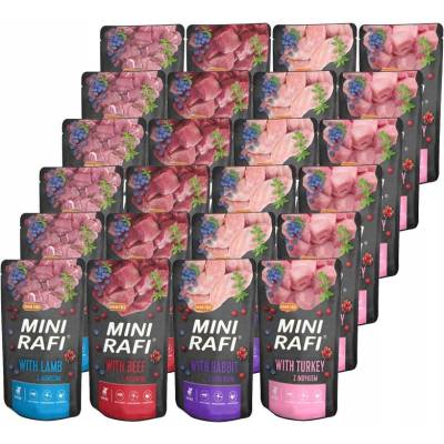 Rafi mix chutí 20x150 g