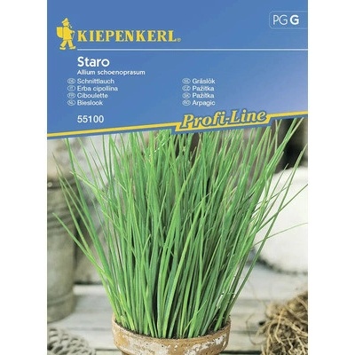 Pažitka Staro Kiepenkerl