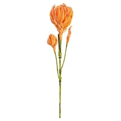 Větvička dállie, oranžová, 100 cm