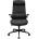 COUGAR COUGAR Stryder Gaming Chair (CGR-STD-BLB)