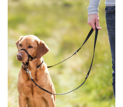 TRIXIE Training harness Top Trainer L