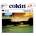 Cokin P125