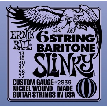 Ernie Ball 2839