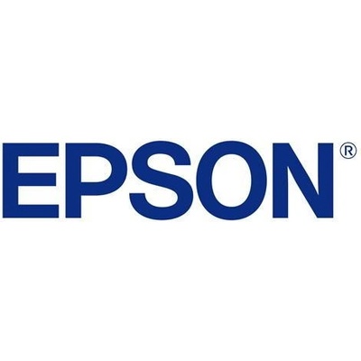 Epson C13S042002