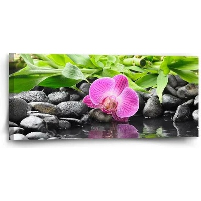 Sablio Obraz Růžová orchidej - 110x50 cm