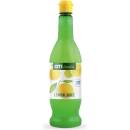 Ati Delicates Lemonita Citrónová šťava 330 ml