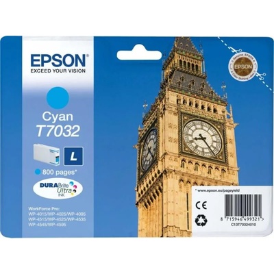 Epson T7032