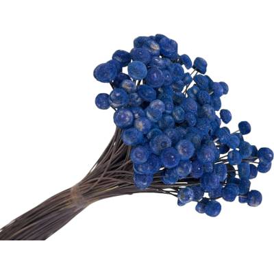 Sušené kvety Botao Amarelino 80g - tmavé modré
