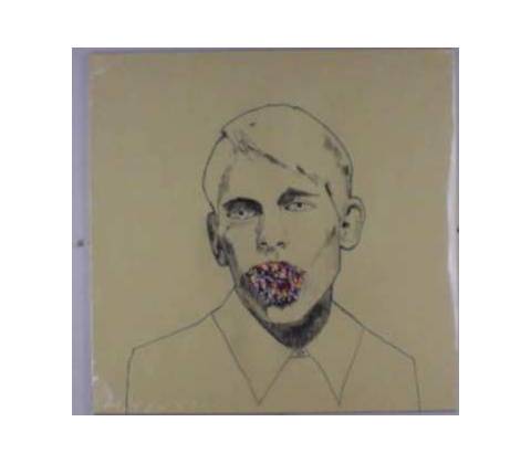Foals - Antidotes LP