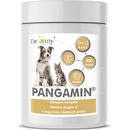 Dromy PANGAMIN 800 tablet