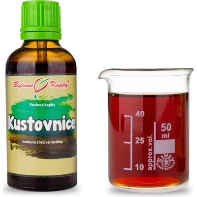 Kustovnica čínska kvapky tinktúra 50 ml