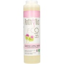 Anthyllis šampón na mastné vlasy 250 ml
