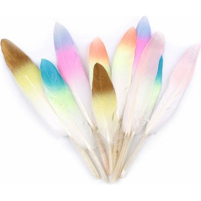 Peří ombré s glitry délka 10-14 cm BALENÍ 10 KUSŮ - mix