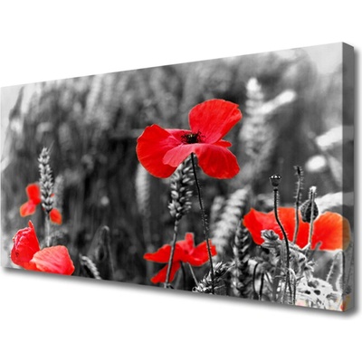 Obraz na plátně Máky 100x50 cm