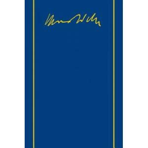 Max Weber-Gesamtausgabe | Max Weber, Horst Baier, M. R. Lepsius, Wolfgang J. Mommsen (ISBN: 9783161529979)