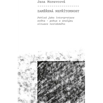 Zaměřená nepřítomnost - Pohled jako interpretace světa – pokus o analýzu situace nevidomého