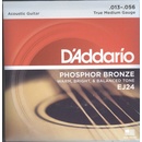 D'ADDARIO EJ24