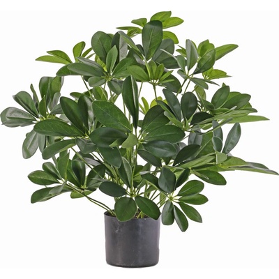 Umělá rostlina Schefflera keřík v květináči, 50cm