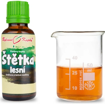 Bylinné kapky Štetka lesná bylinné kvapky 30 ml
