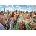 Cherry Pazzi - Puzzle Empire - 1 000 piese