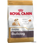 Royal Canin Bulldog Junior 12 kg