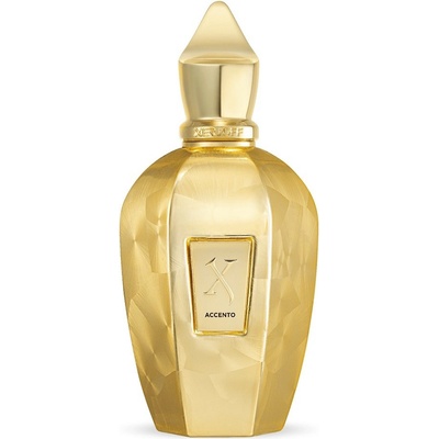 Xerjoff Accento Overdose parfumovaná voda unisex 100 ml